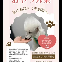 画像344