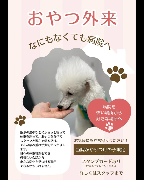 画像344