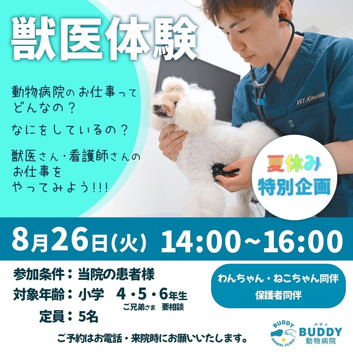 画像346