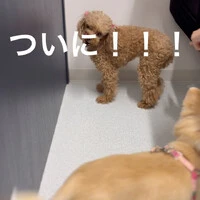 画像348