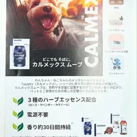 画像351