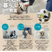 画像355