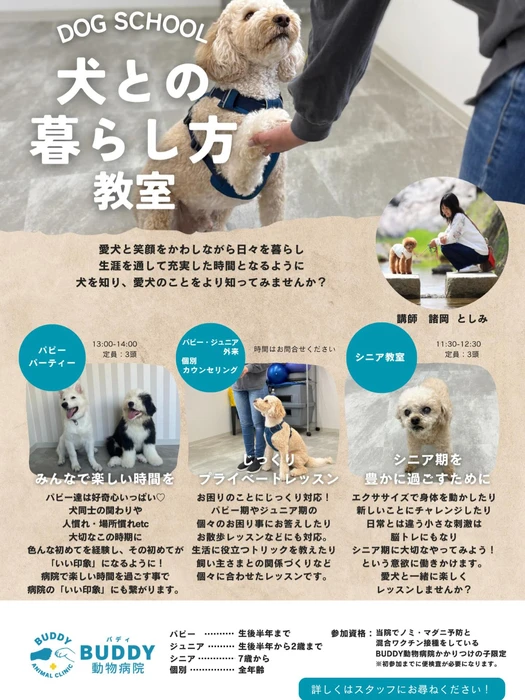 画像355