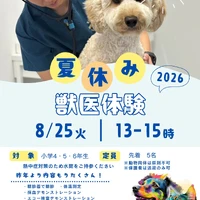 画像375
