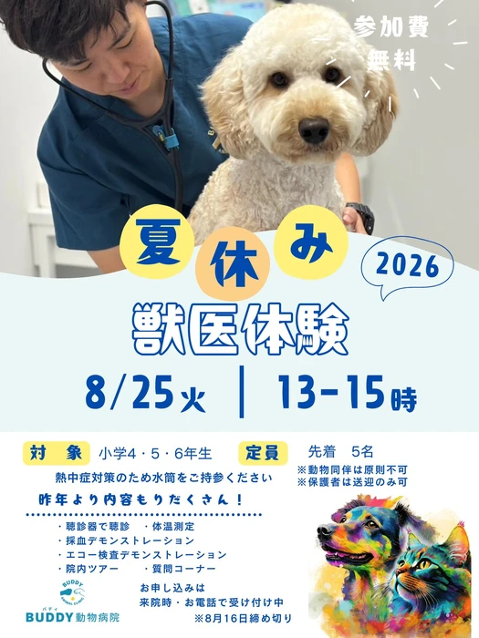 画像375