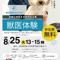 画像376