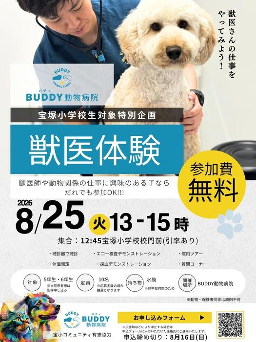 画像376