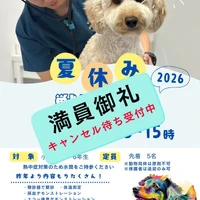 画像378
