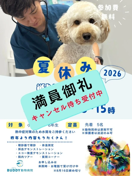 画像378
