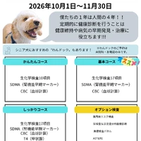 画像381