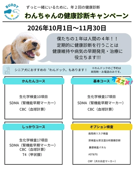 画像381