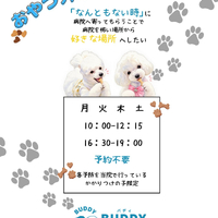 画像383