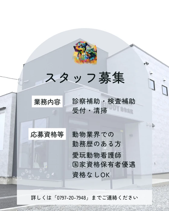 画像387